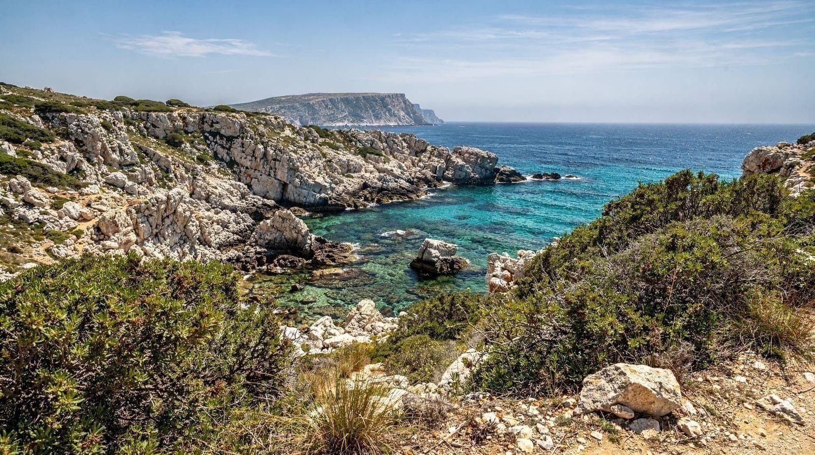 Asinara National Park guide