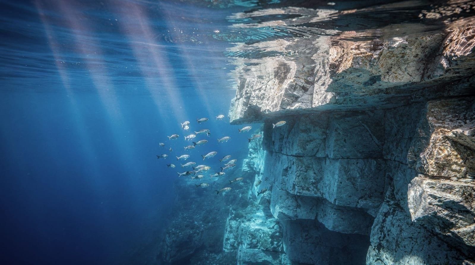 Diving at Alghero and Capo Caccia