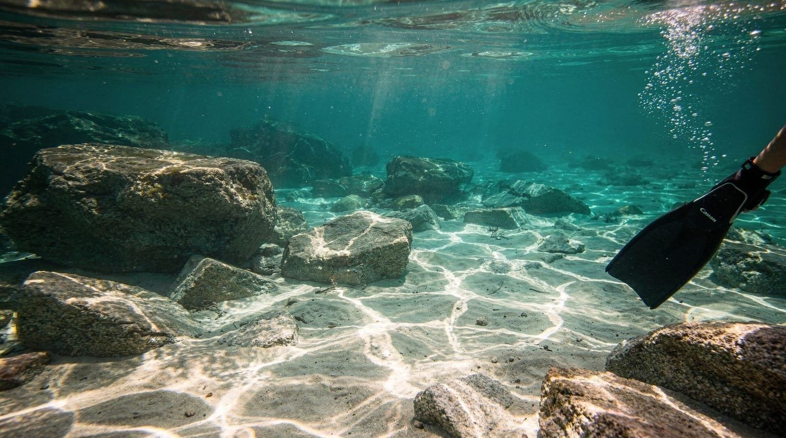 Diving in Sardinia