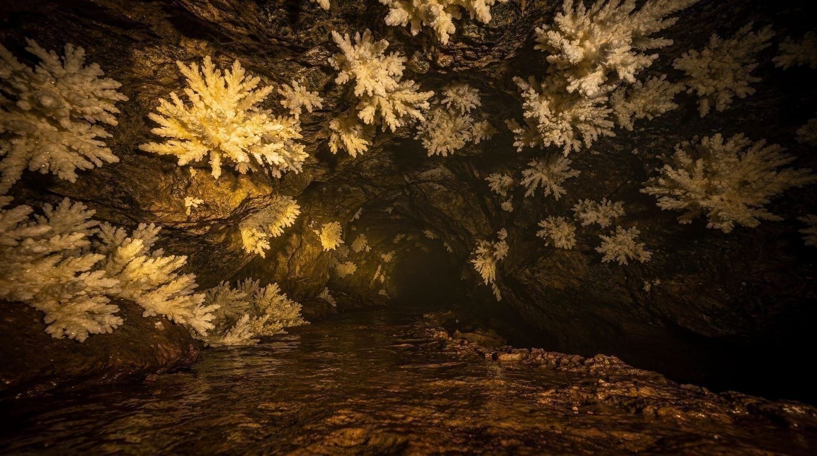 Is Zuddas cave in the Sulcis, famous for its crystal formations