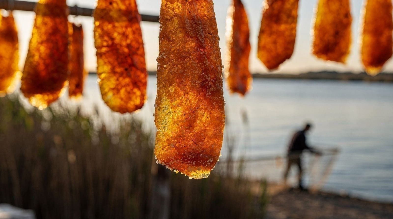 The bottarga of Cabras
